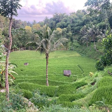 Satu Lingkung Hotel Tetebatu Exterior foto