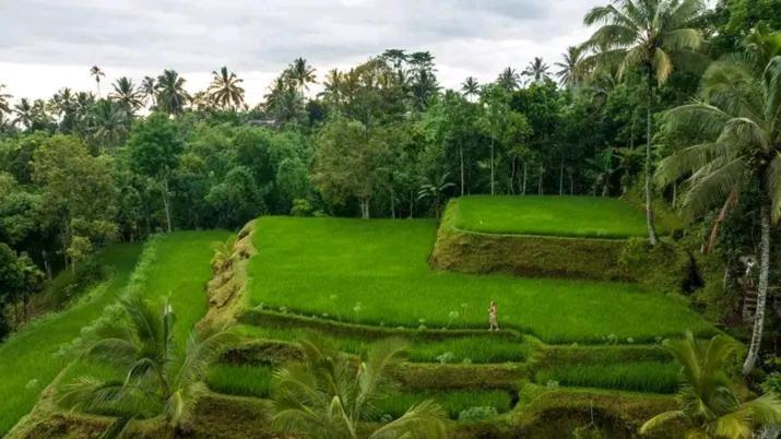 Satu Lingkung Hotel Tetebatu Exterior foto