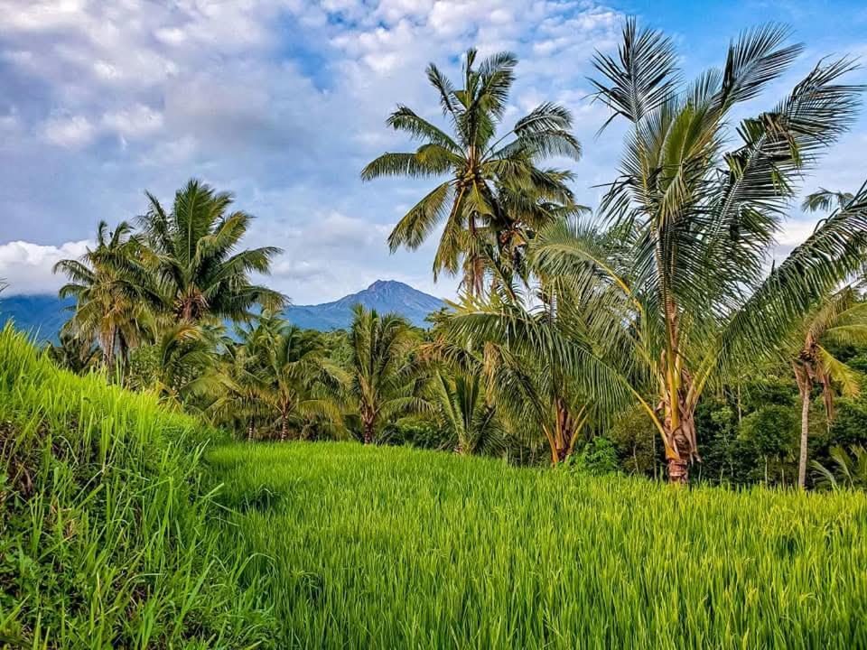 Satu Lingkung Hotel Tetebatu Exterior foto
